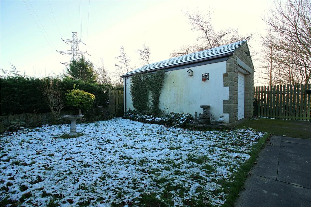 Picture 11