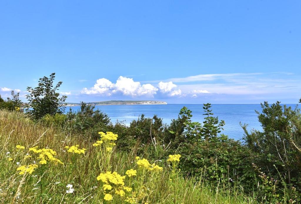 Views to Culver Down