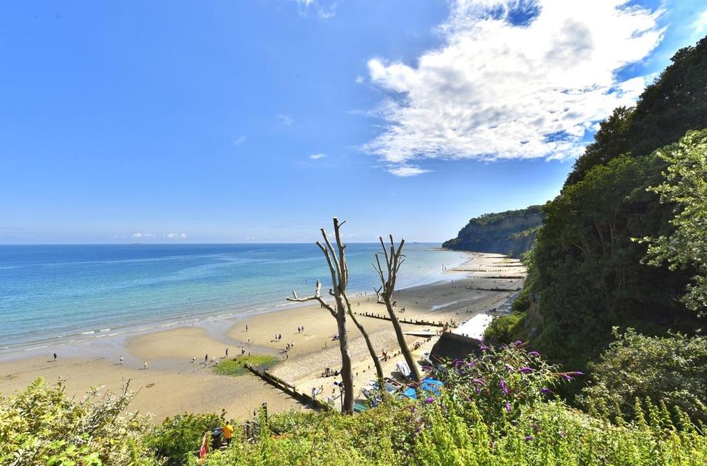 Shanklin Chine Beach