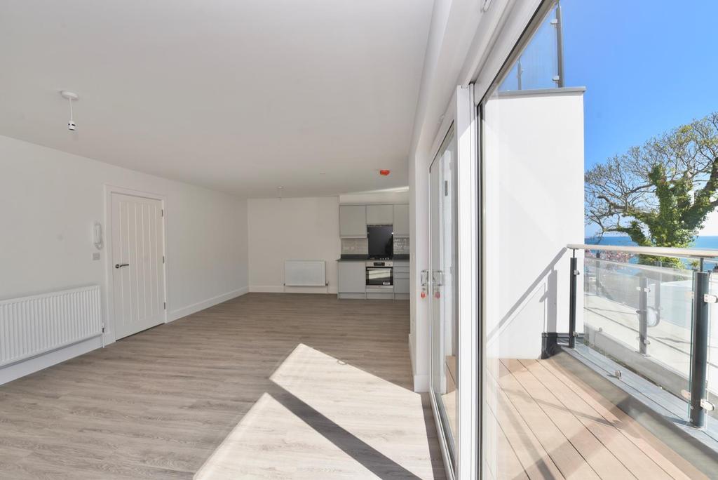 Open Plan Living and Kitchen Area