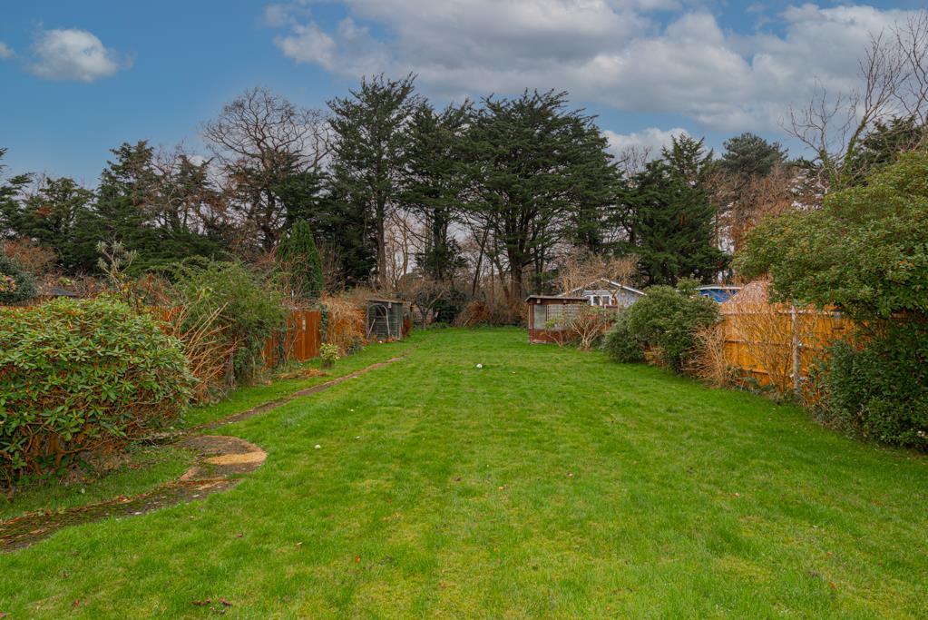 Garden.jpg