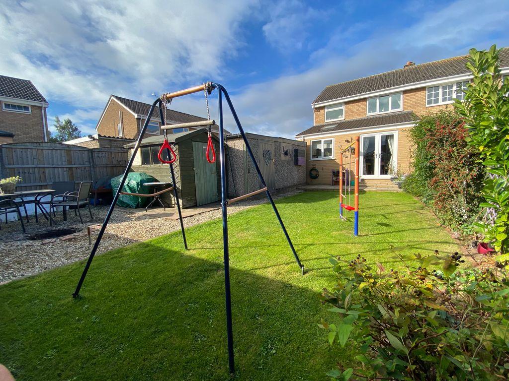 Garden at Back