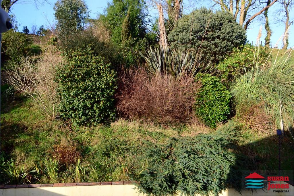 Rear bank view from bedroom 1