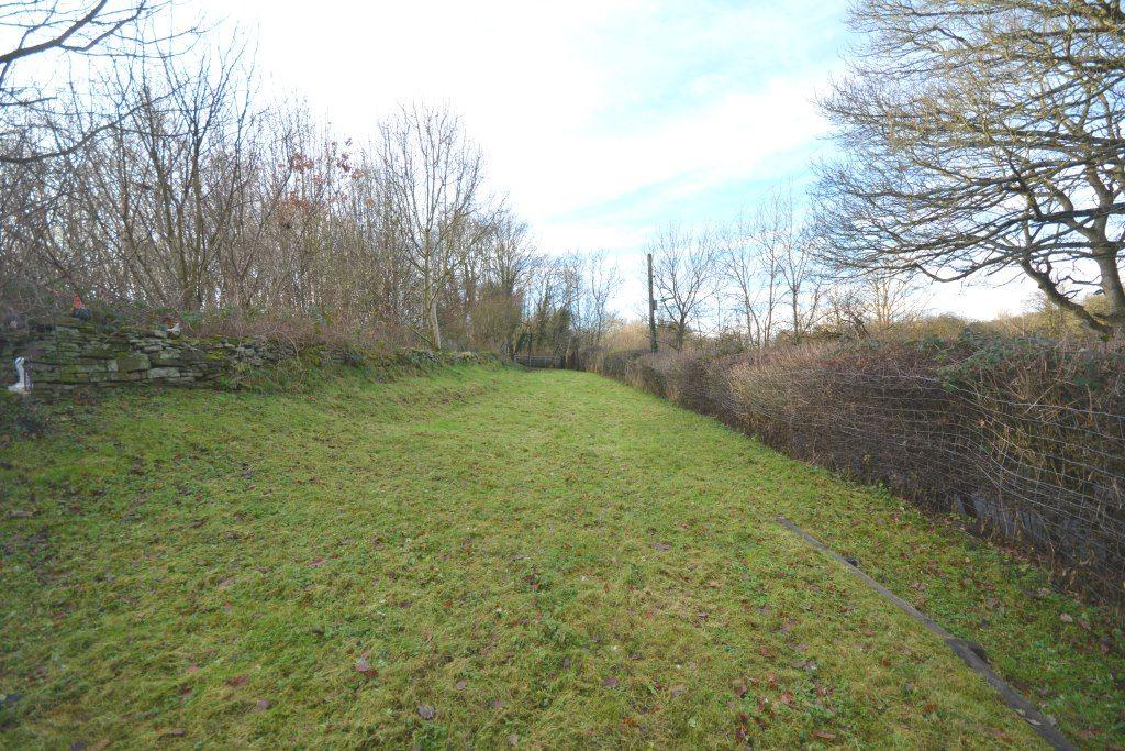 Photograph 24