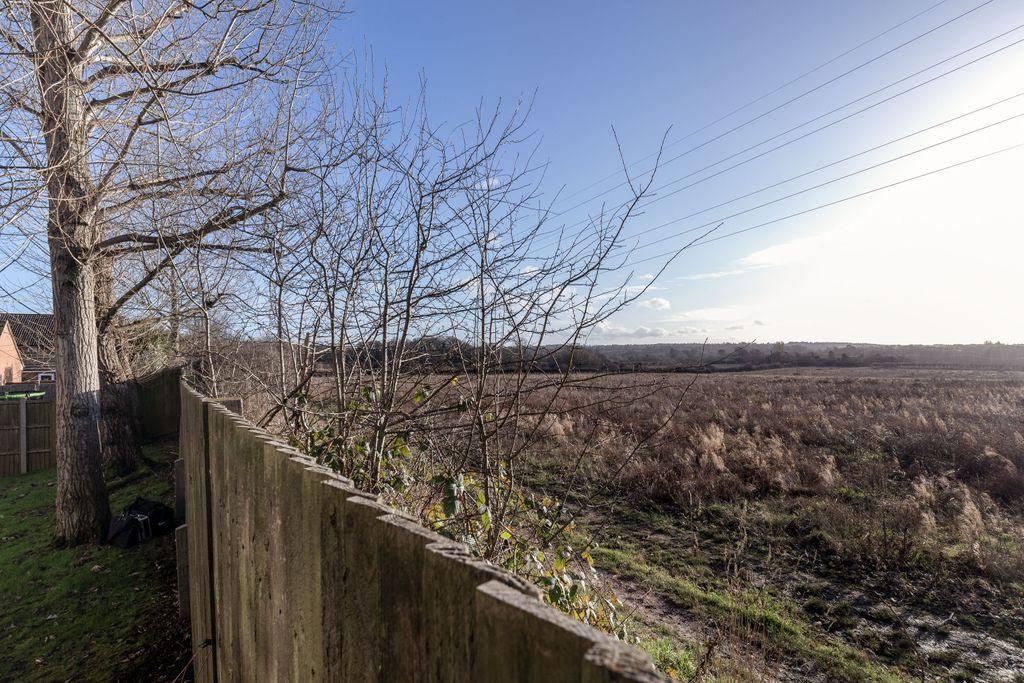 View from Property at Back