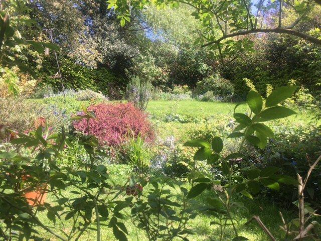 Front Garden