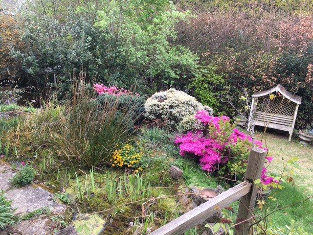 Front Garden