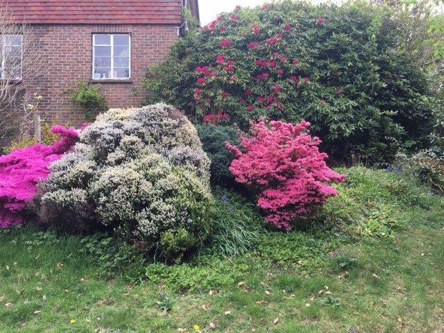 Front Garden