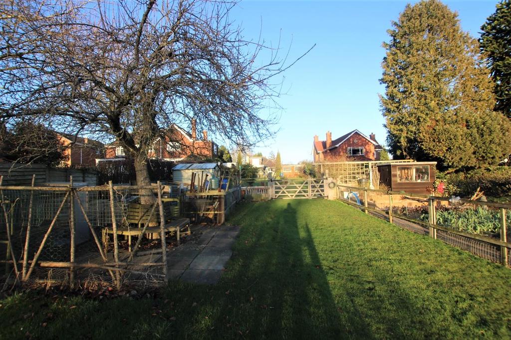 Vegetable Garden