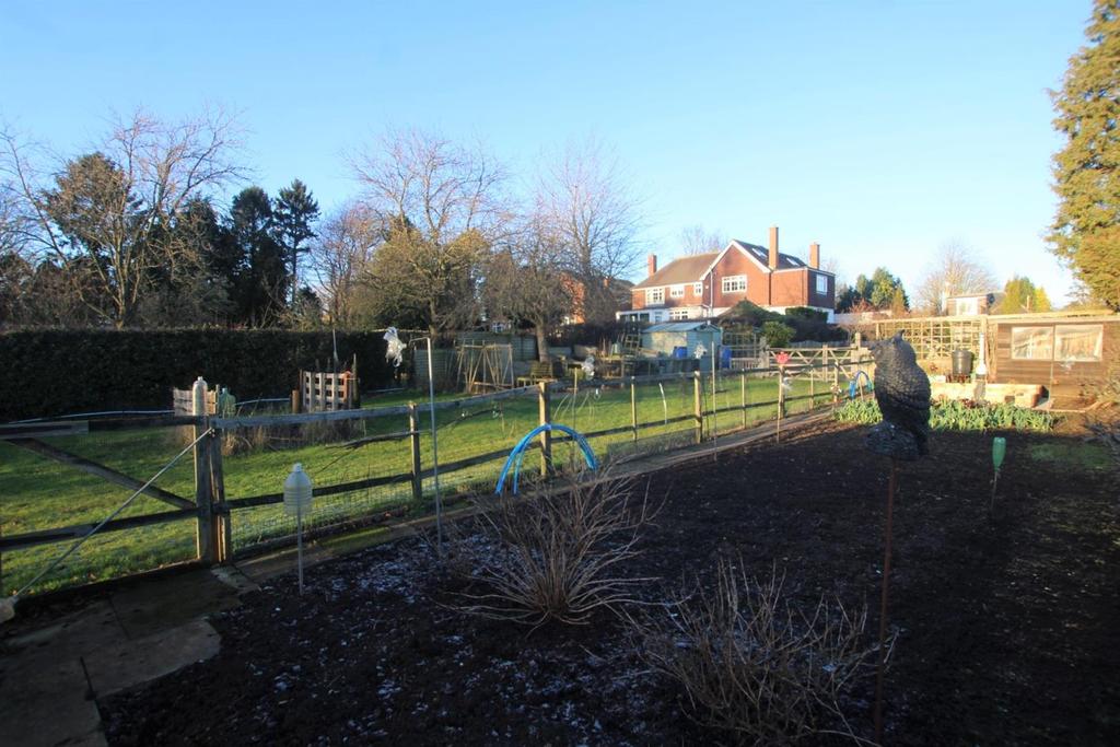 Vegetable Garden