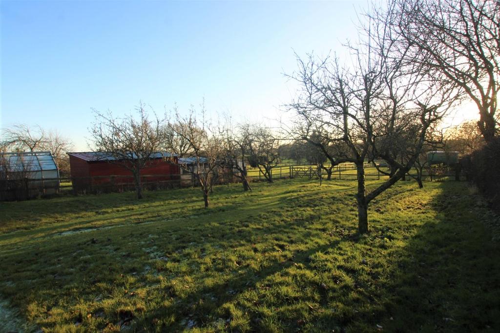 Fruit Orchard