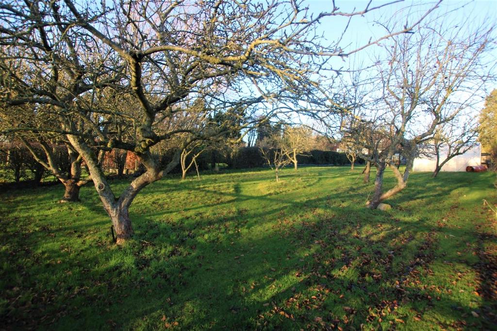 Fruit Orchard