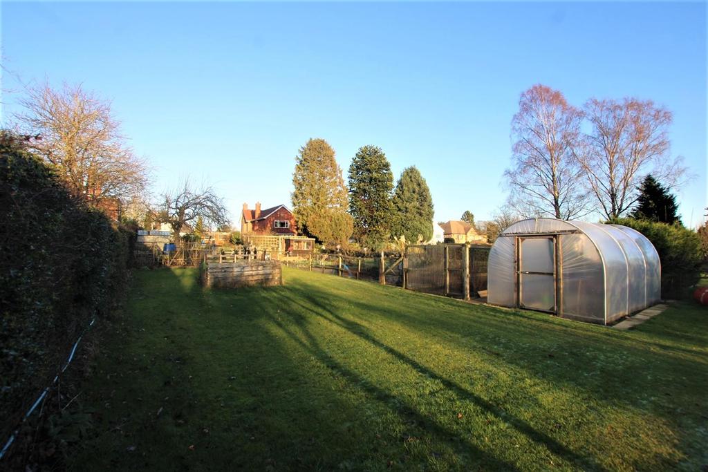 Vegetable Garden