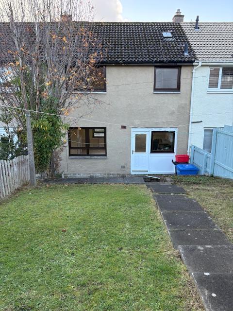 Back Garden