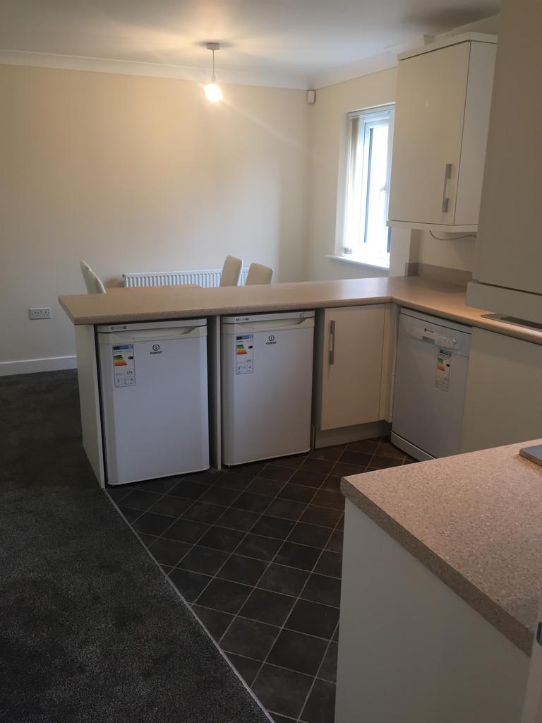 Kitchen with fridge, freezer and dishwasher