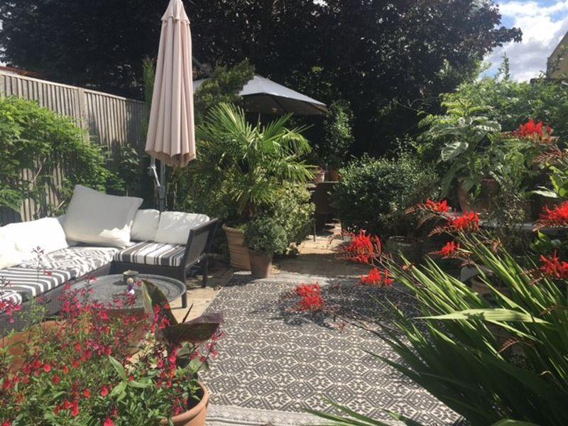 Summer garden photo