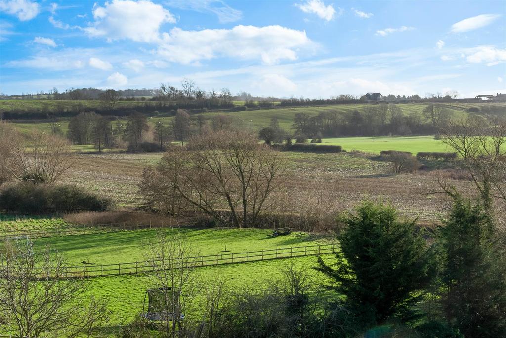 Field View-8.jpg