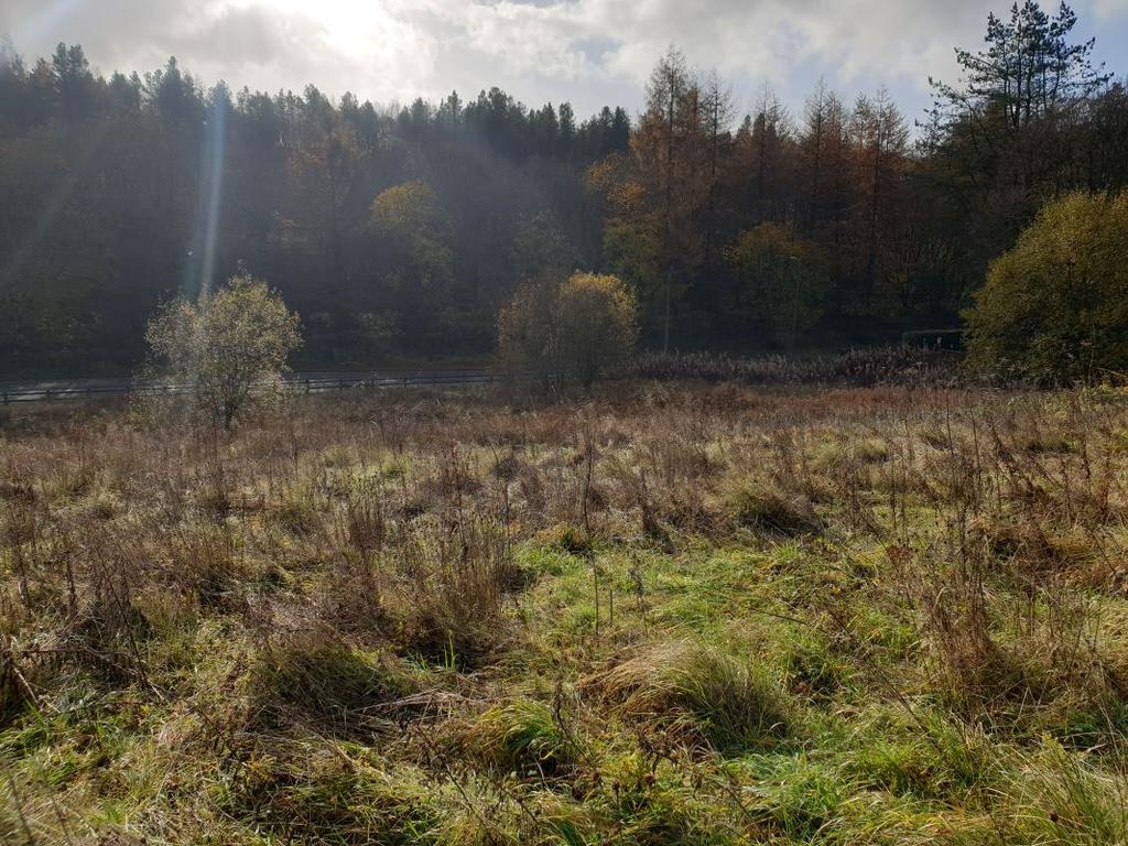 Land at Merthyr Road, Tredegar, NP22 3BE Land £55,000