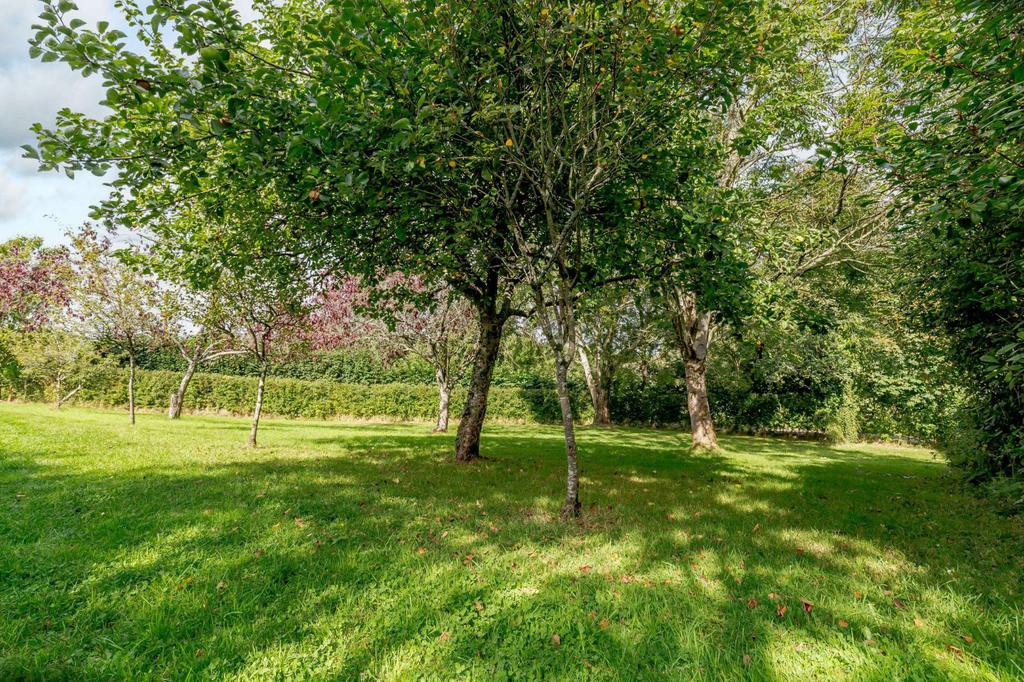 The Orchard