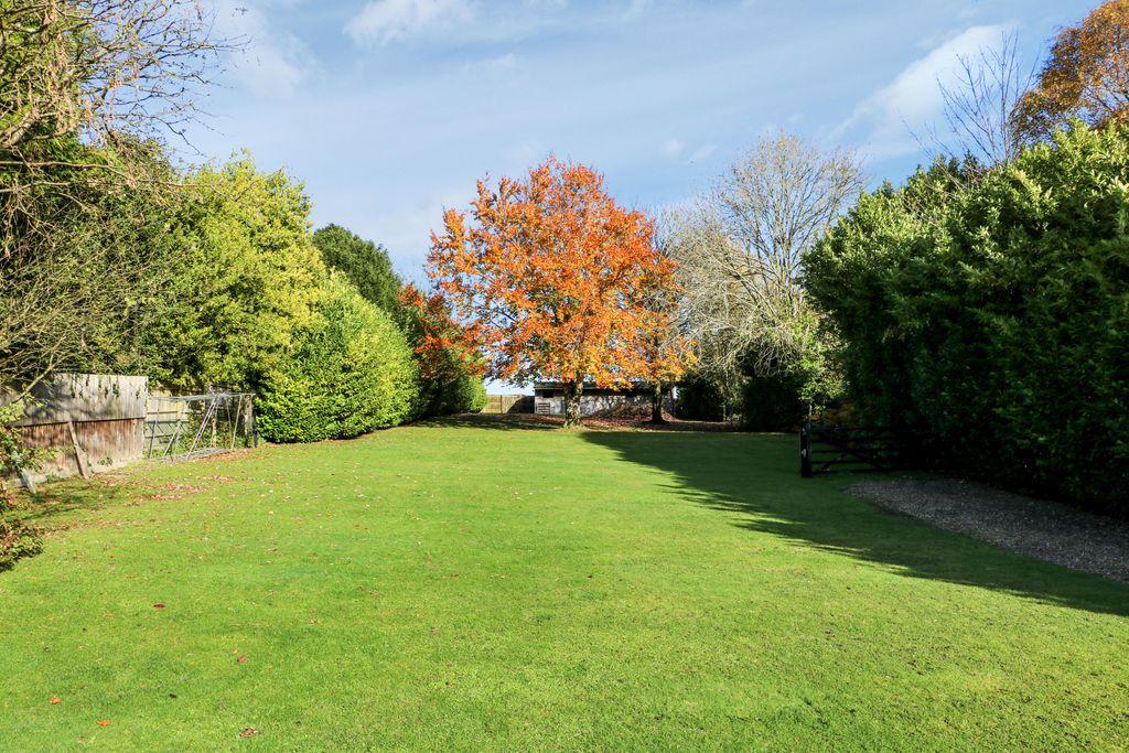 Garden at Back
