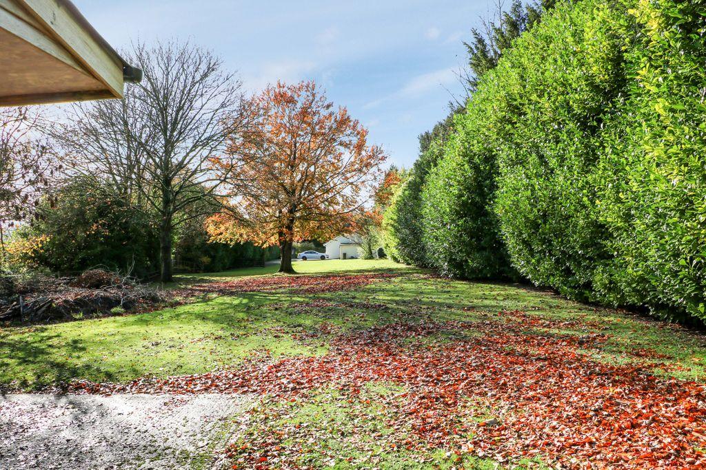 View of Property at Back