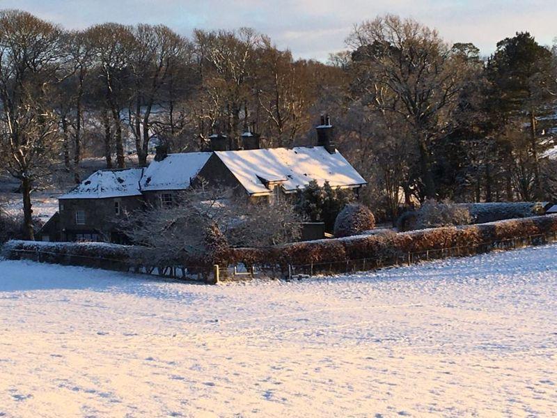 Snow photos
