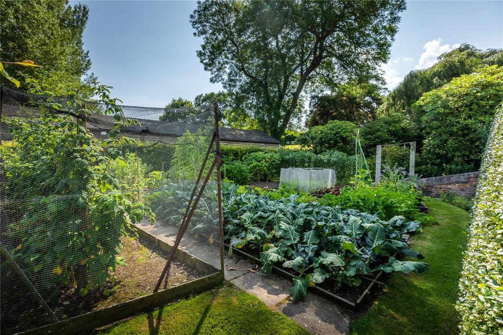 Kitchen Garden