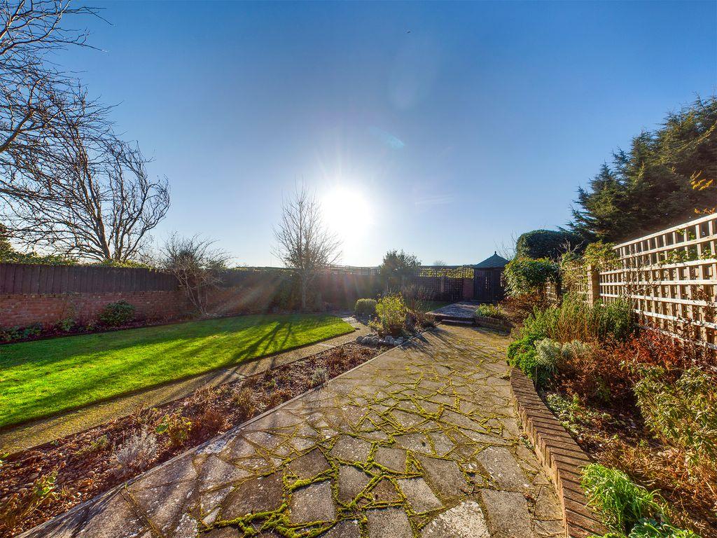 Garden at Back