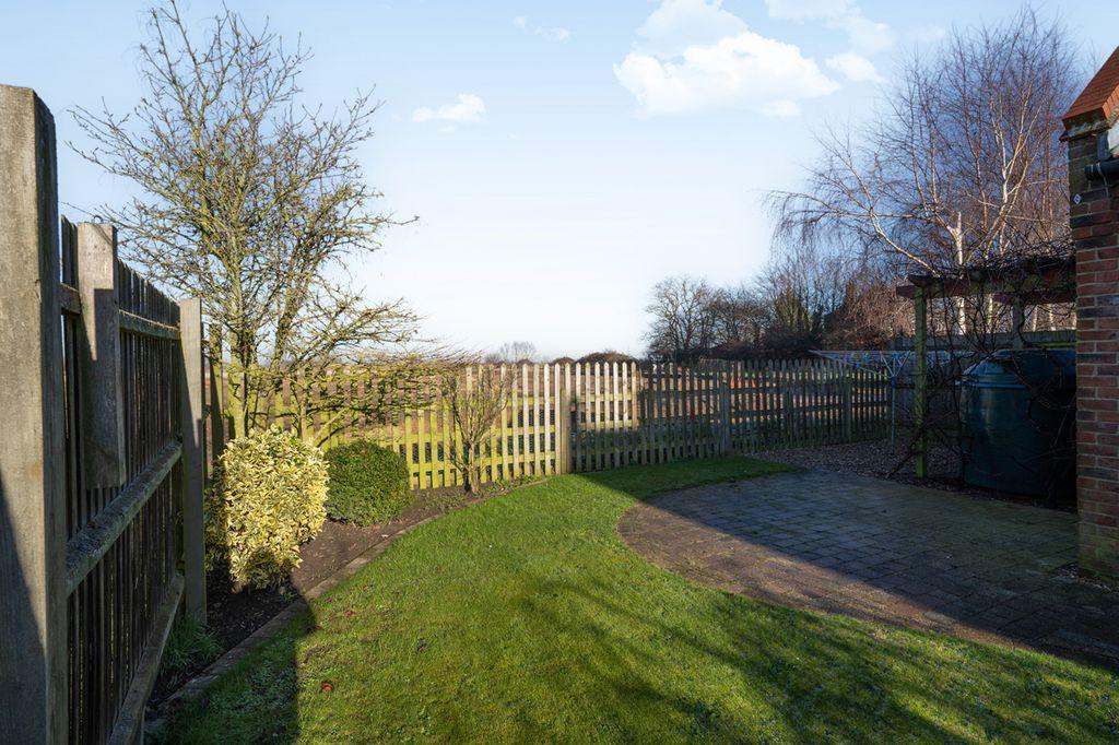 Garden at Back