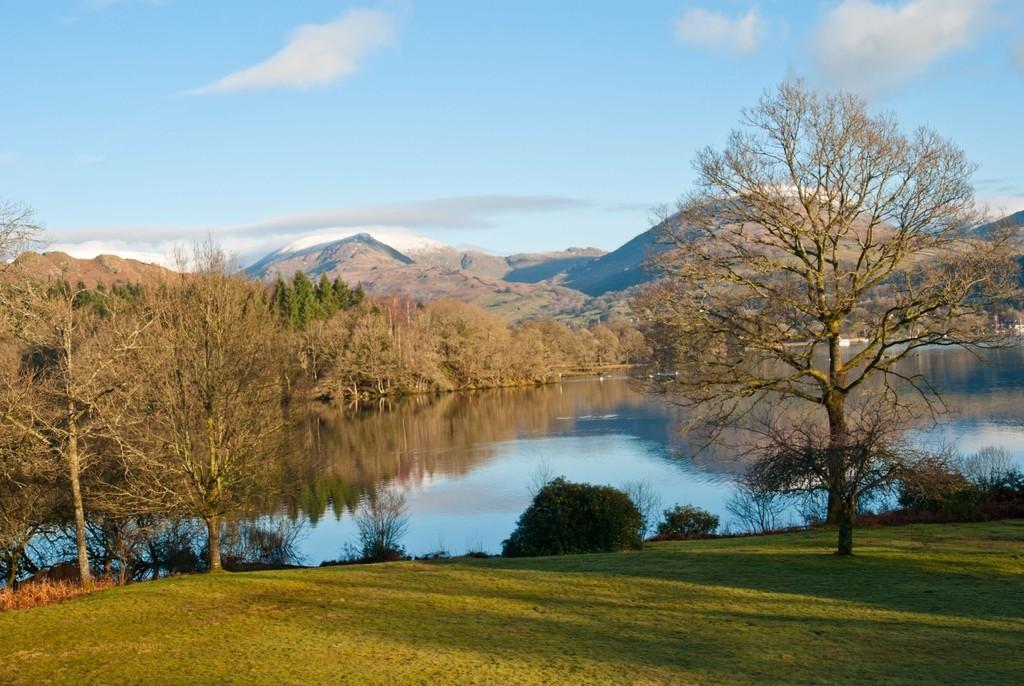 Lake and View