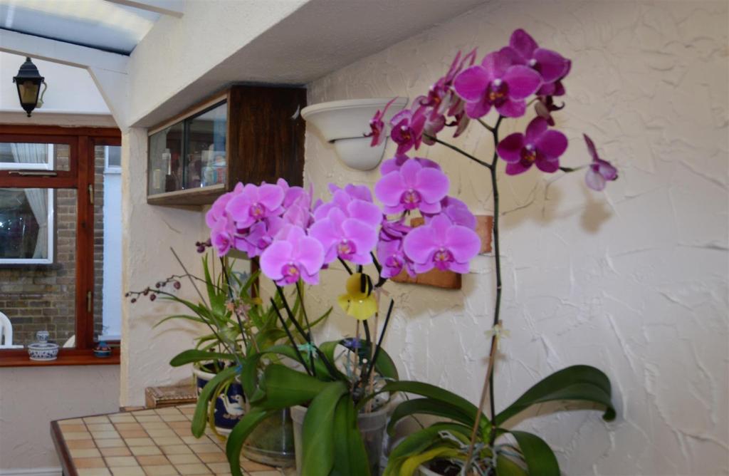 9 Ashford Crescent flowers.JPG