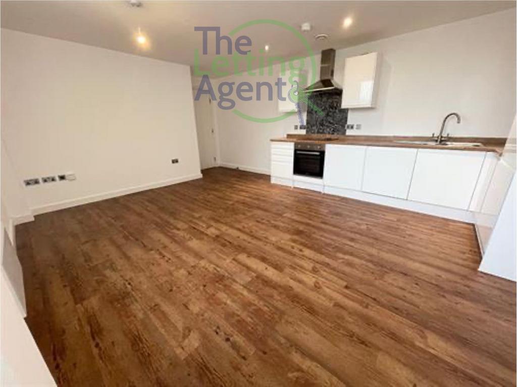 Open-Plan Living Room Kitchen