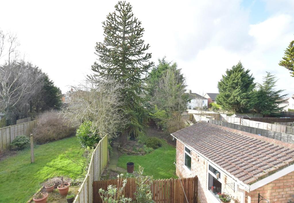 Rear Garden overview