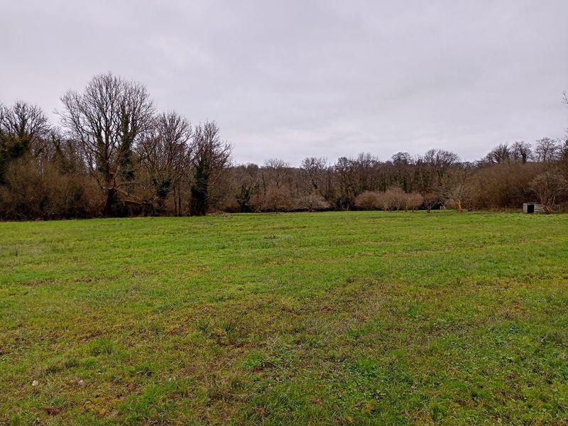 The Pastureland