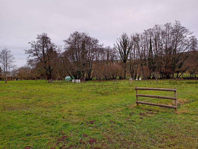 View Towards River