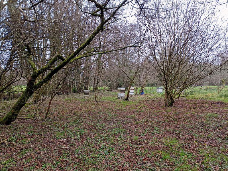 Bee Hives Near River