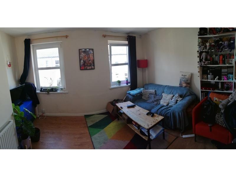 Rhymney Street, Cathays, Cardiff 1 bed flat £630 pcm (£145 pw)