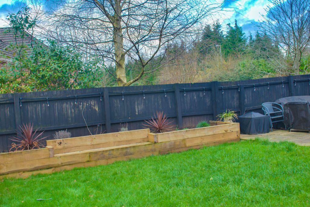 Garden at Back