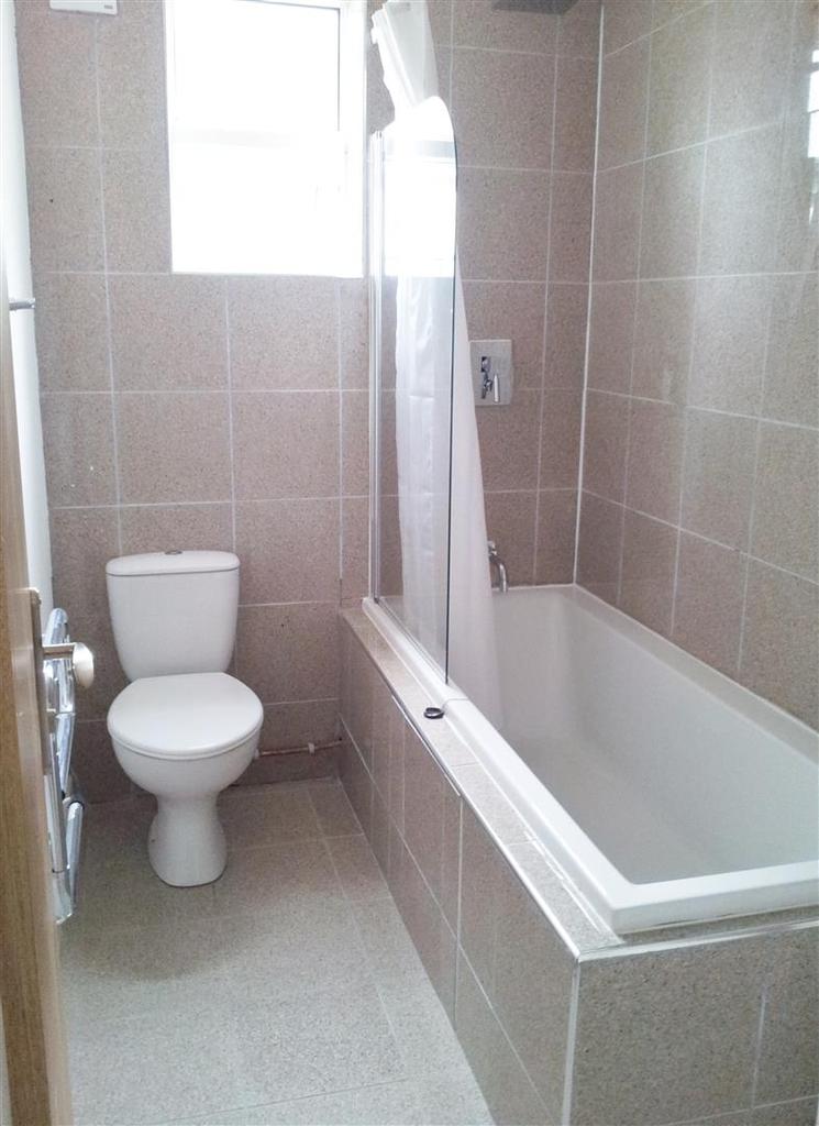 F Flat 2 - 189 Albany Rd  (Bathroom).jpg