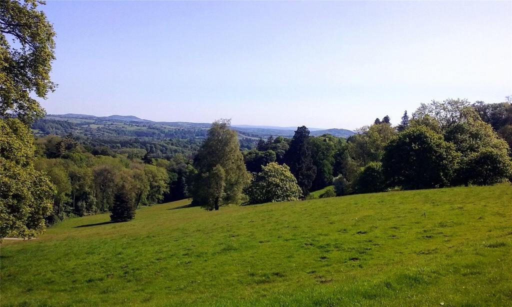 Parkland Setting