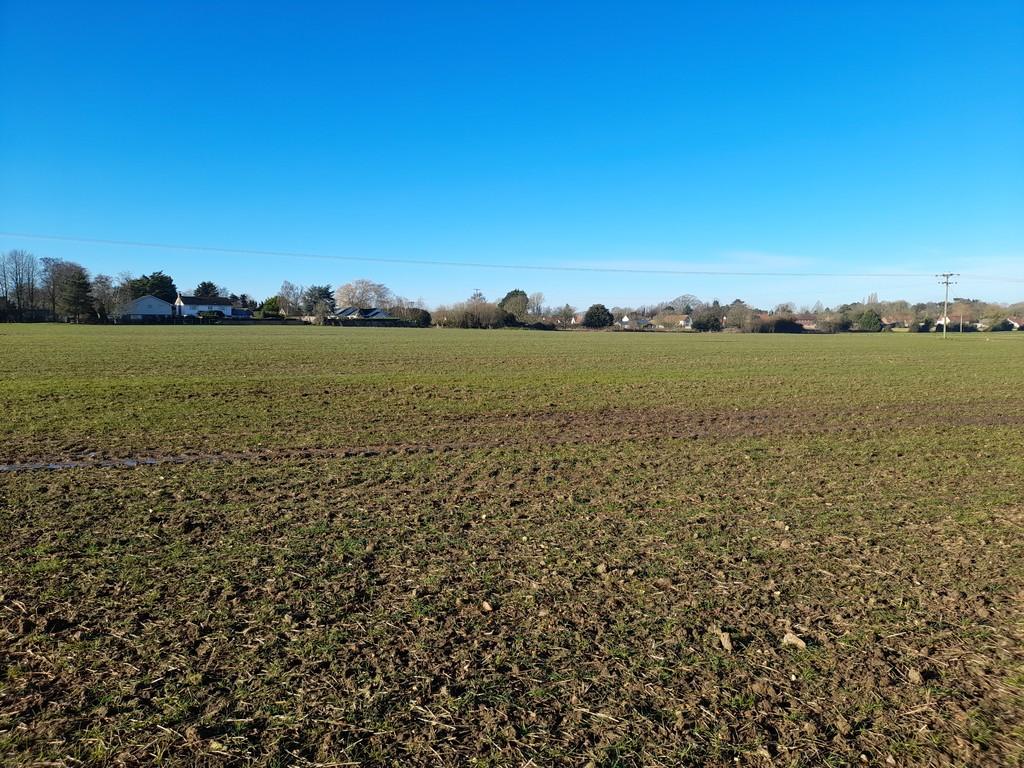 22.797ha (56.32ac) Agricultural Land at North Lopham, Norfolk Land £