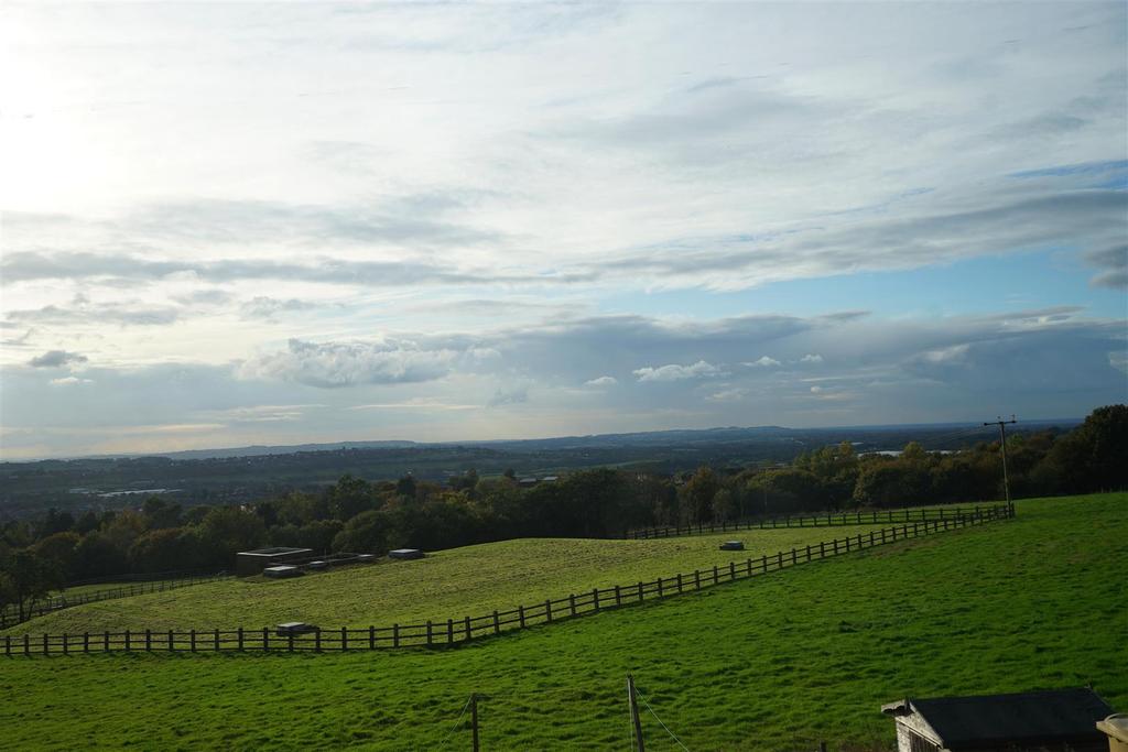 DSC02944a.jpg
