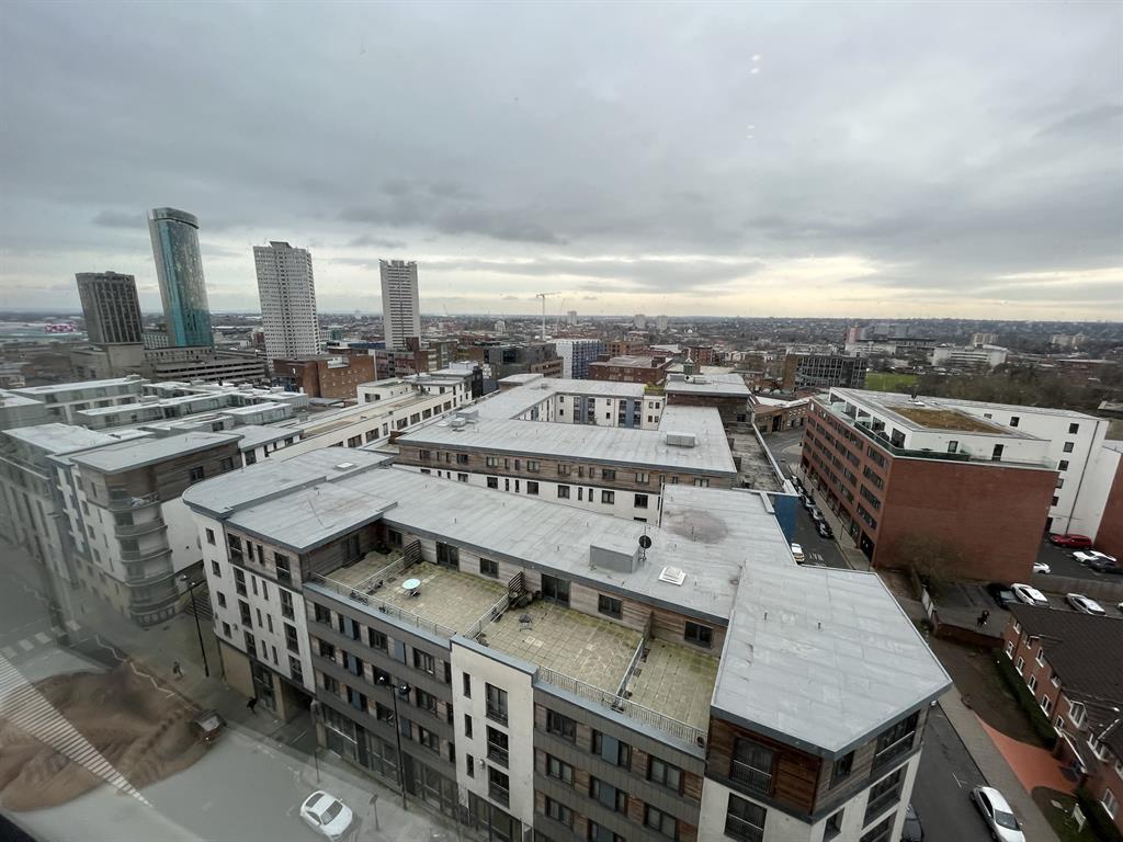 Skyline Views