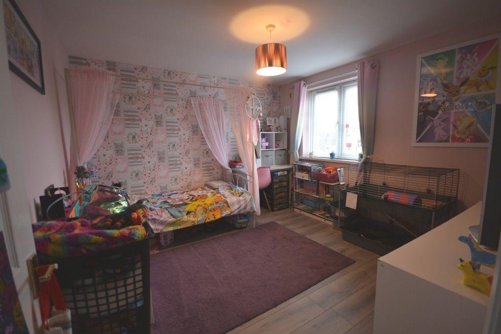 Photograph 5