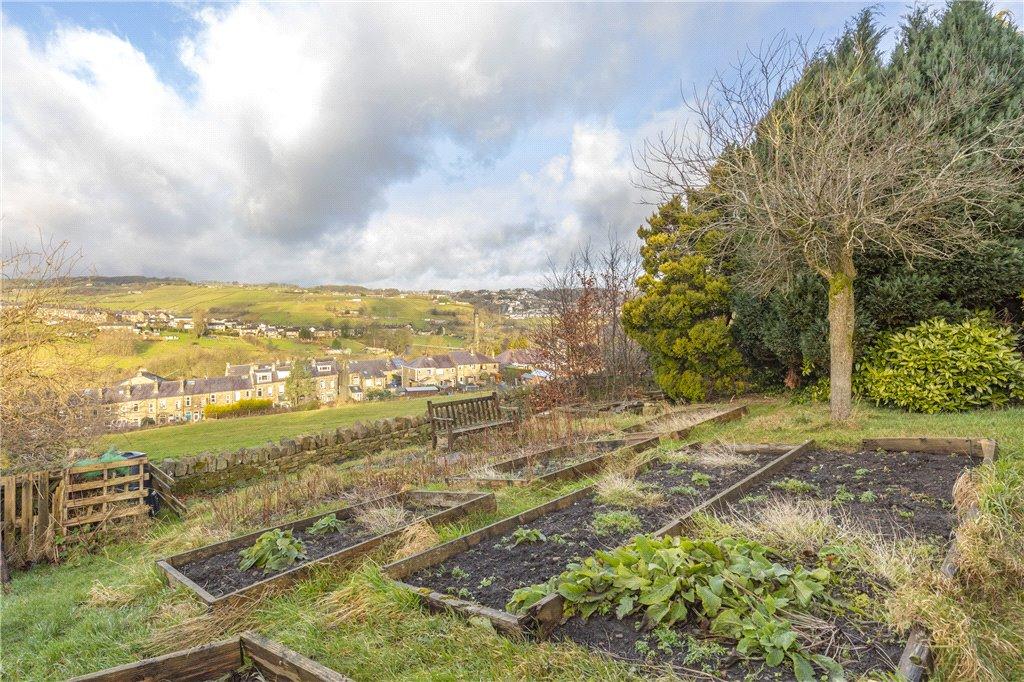 Vegtable Garden