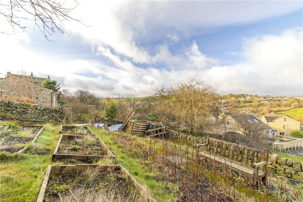 Vegetable Garden