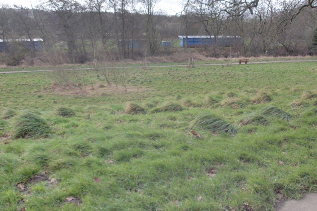 View from Property at Front