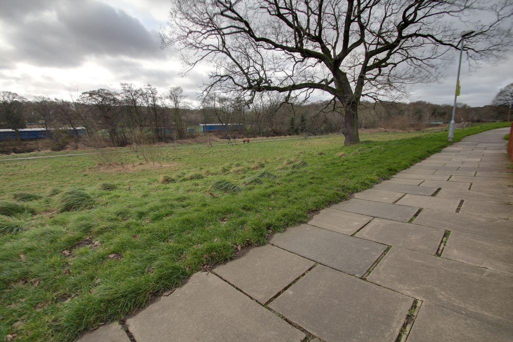 View from Property at Front