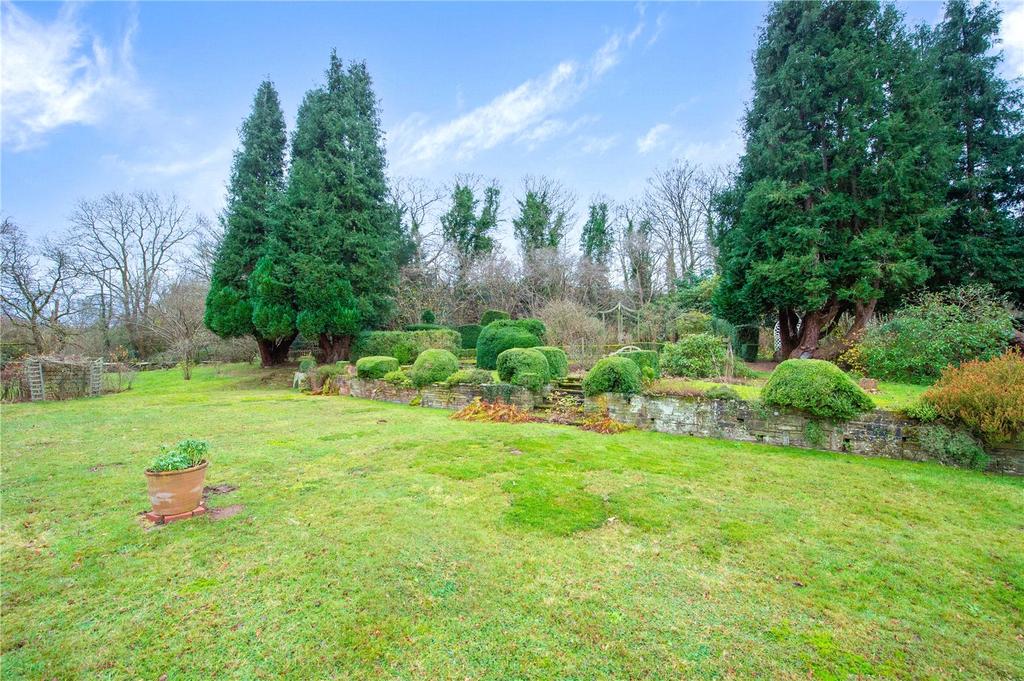 Mature Garden