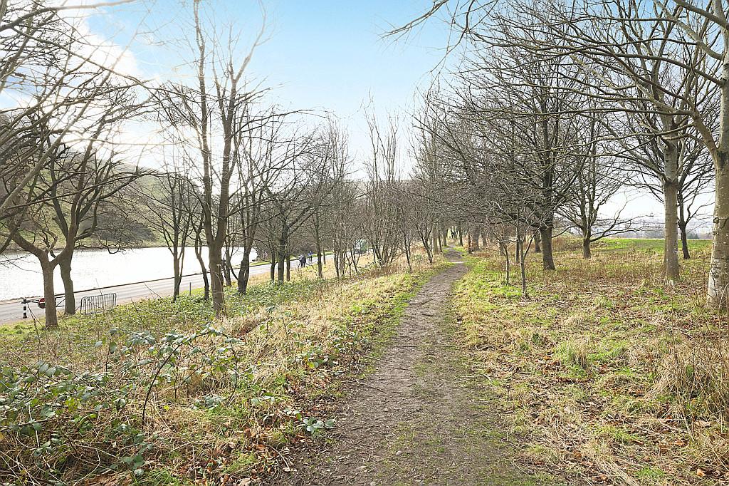 Area